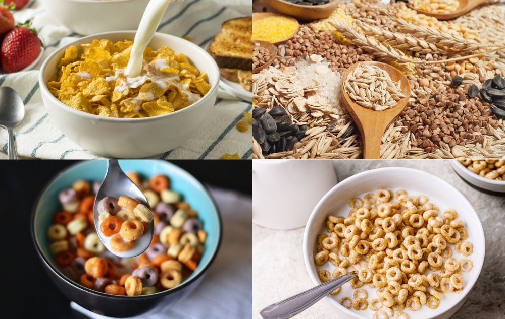 Are Cereals Wholesome for You? – All the things You Have to Know