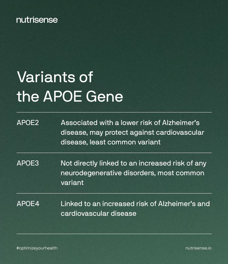 APOE4 Gene: What You Must Know About This Alzheimer’s Threat Issue