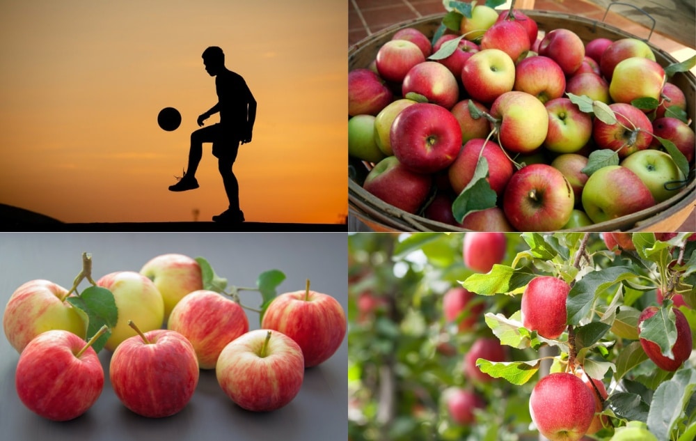 Are Apples Wholesome? – The Final Vitamin Information