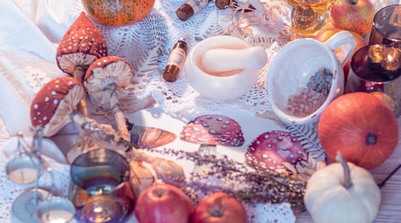 Discover the Mystical World of Amanita Muscaria with Scrumptious Gummy Treats