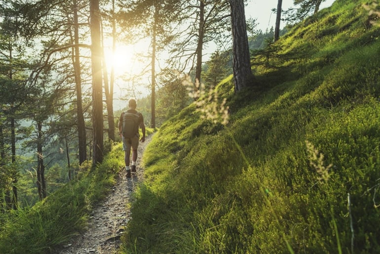 10 Stunning and Highly effective Advantages of Strolling Day by day