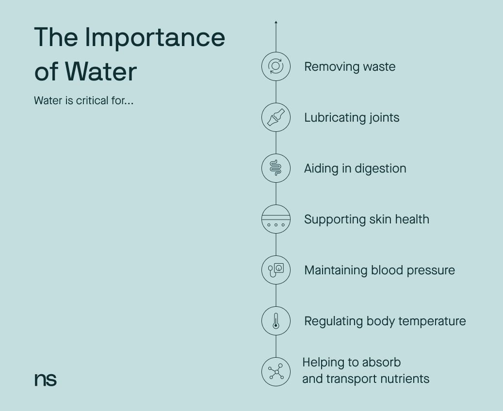 Sorts of Consuming Water: Which is Healthiest?