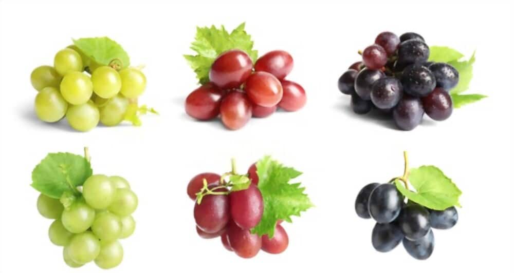 Are Grapes Acidic? Ought to You Keep away from Grapes With Acid Reflux?