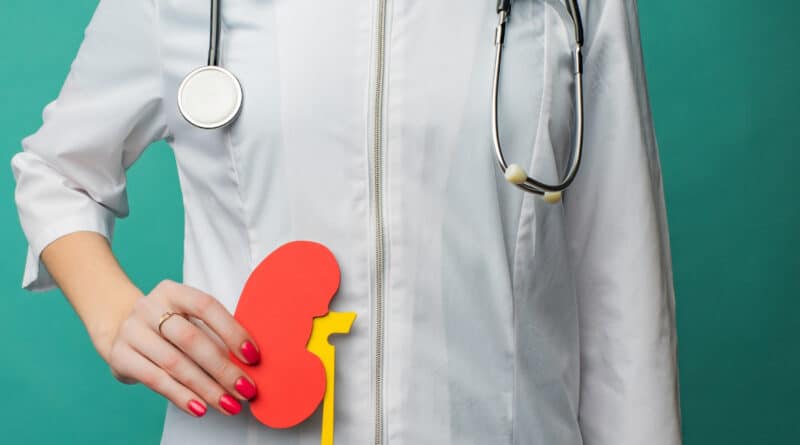 Methods to Preserve Your Kidney Wholesome