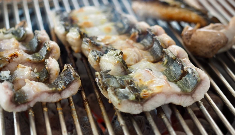 Can You Eat Eel Pores and skin? A Complete Information to Security and Preparation